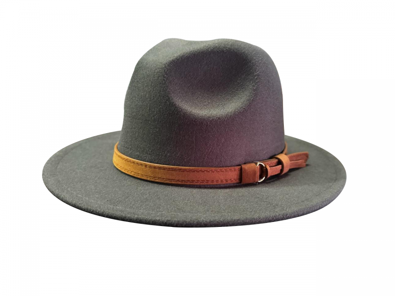Sombrero AL0003009 (Gris)